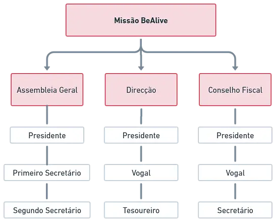 corpos sociais missao bealive